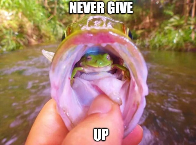 This frog got 1 last chance | NEVER GIVE; UP | made w/ Imgflip meme maker
