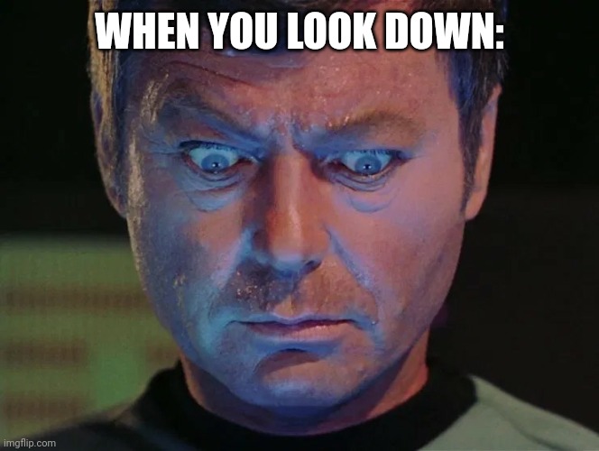 Star Trek McCoy wide eyes looking down | WHEN YOU LOOK DOWN: | image tagged in star trek mccoy wide eyes looking down | made w/ Imgflip meme maker