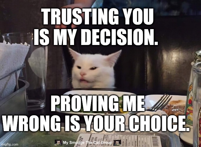 TRUSTING YOU IS MY DECISION. PROVING ME WRONG IS YOUR CHOICE. | image tagged in smudge the cat | made w/ Imgflip meme maker