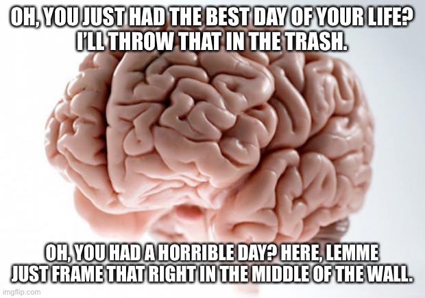 Scumbag Brain | OH, YOU JUST HAD THE BEST DAY OF YOUR LIFE?
I’LL THROW THAT IN THE TRASH. OH, YOU HAD A HORRIBLE DAY? HERE, LEMME JUST FRAME THAT RIGHT IN THE MIDDLE OF THE WALL. | image tagged in scumbag brain | made w/ Imgflip meme maker