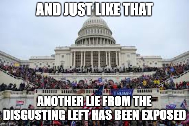 Another lie exposed. "Rioters" being led around the Capitol as if they were on a tour. | AND JUST LIKE THAT; ANOTHER LIE FROM THE DISGUSTING LEFT HAS BEEN EXPOSED | image tagged in capitol on january 6 | made w/ Imgflip meme maker