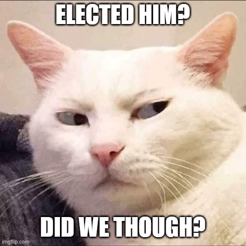 Skeptical Cat | ELECTED HIM? DID WE THOUGH? | image tagged in skeptical cat | made w/ Imgflip meme maker