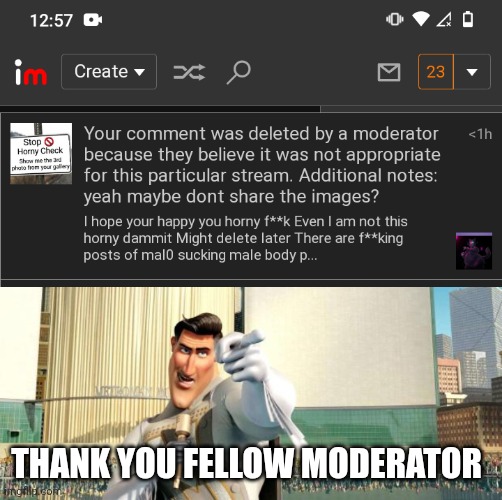 THANK YOU FELLOW MODERATOR | image tagged in megamind thank you random citizen | made w/ Imgflip meme maker
