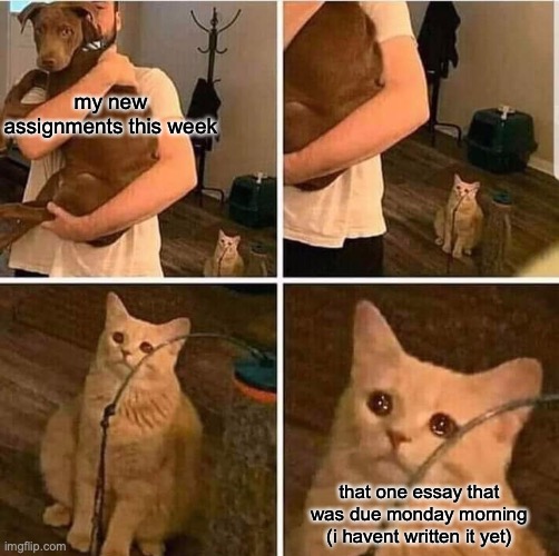 my teacher gave me an extension and i have a half day tomorrow/today so i'll just work on it then | my new assignments this week; that one essay that was due monday morning (i havent written it yet) | image tagged in cat left out crying | made w/ Imgflip meme maker