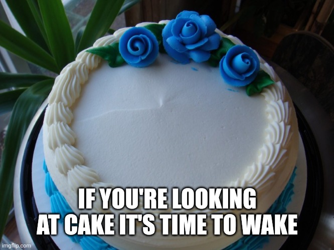 sorry cake | IF YOU'RE LOOKING AT CAKE IT'S TIME TO WAKE | image tagged in sorry cake | made w/ Imgflip meme maker