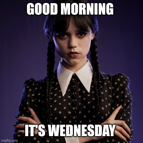 Wednesday | GOOD MORNING; IT'S WEDNESDAY | image tagged in days | made w/ Imgflip meme maker