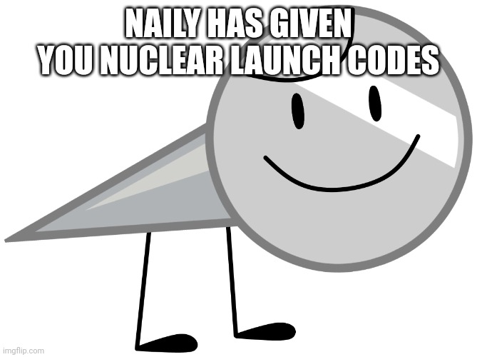NAILY HAS GIVEN YOU NUCLEAR LAUNCH CODES | made w/ Imgflip meme maker