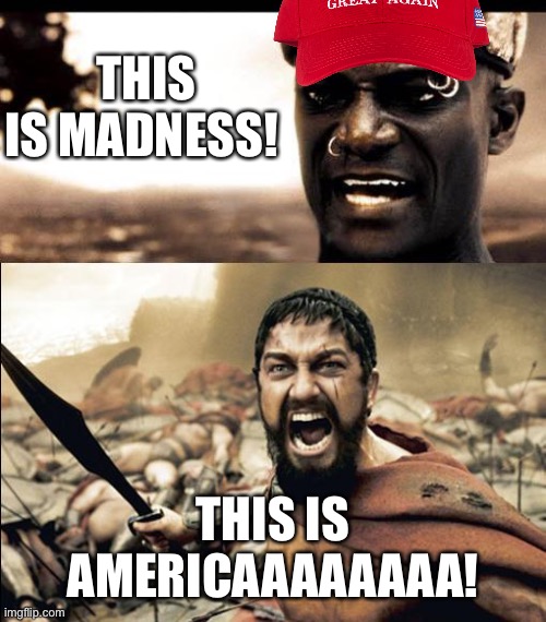 This is madness / THIS IS SPARTAAAAAA | THIS IS MADNESS! THIS IS AMERICAAAAAAAA! | image tagged in this is madness / this is spartaaaaaa | made w/ Imgflip meme maker