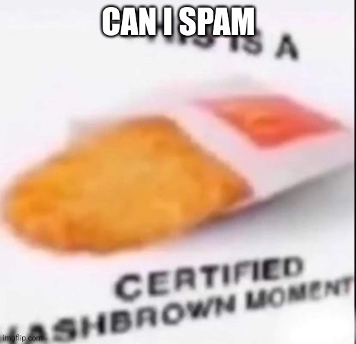 Hash brown moment | CAN I SPAM | image tagged in hash brown moment | made w/ Imgflip meme maker