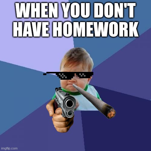 Success Kid | WHEN YOU DON'T HAVE HOMEWORK | image tagged in memes,success kid | made w/ Imgflip meme maker