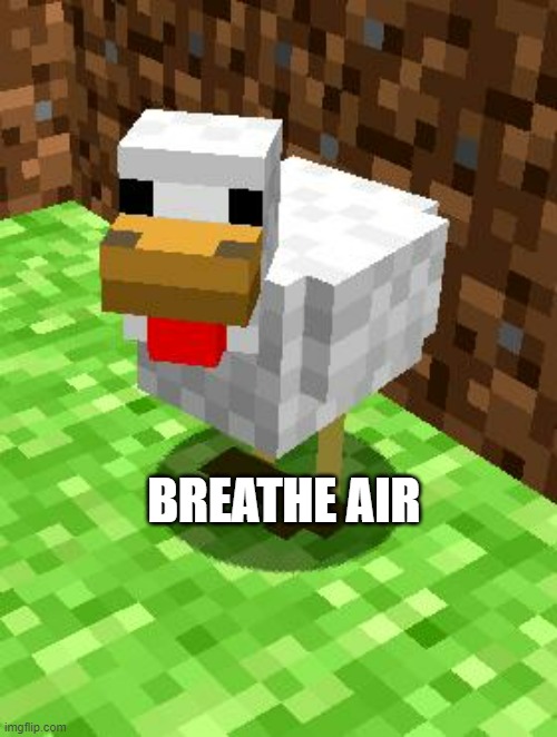 Minecraft Advice Chicken | BREATHE AIR | image tagged in minecraft advice chicken | made w/ Imgflip meme maker