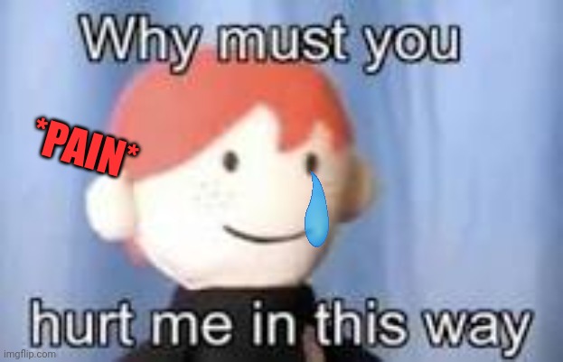 Why must you hurt me in this way | *PAIN* | image tagged in why must you hurt me in this way | made w/ Imgflip meme maker