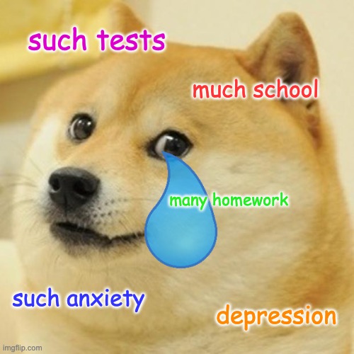 Doge | such tests; much school; many homework; such anxiety; depression | image tagged in memes,doge | made w/ Imgflip meme maker