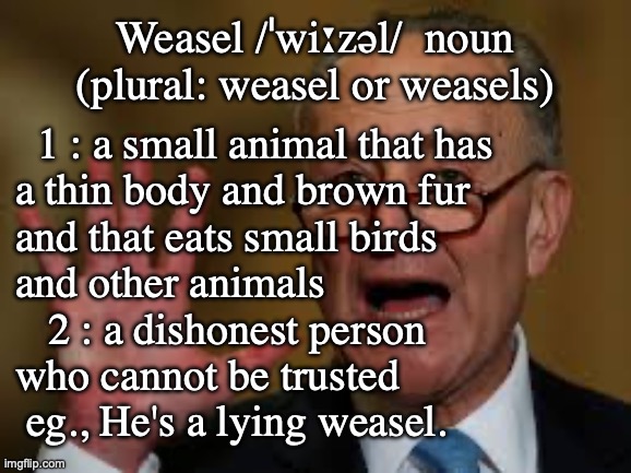 [warning: contains dictionary satire] | Weasel /ˈwiːzəl/  noun
(plural: weasel or weasels); 1 : a small animal that has
 a thin body and brown fur
 and that eats small birds
 and other animals
    2 : a dishonest person
 who cannot be trusted
  eg., He's a lying weasel. | image tagged in weasel,scammer | made w/ Imgflip meme maker