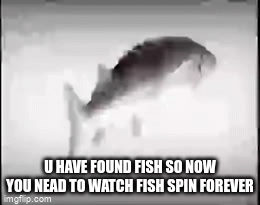 fish - Imgflip