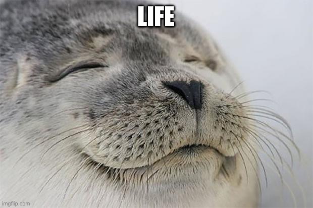 Satisfied Seal | LIFE | image tagged in memes,satisfied seal | made w/ Imgflip meme maker