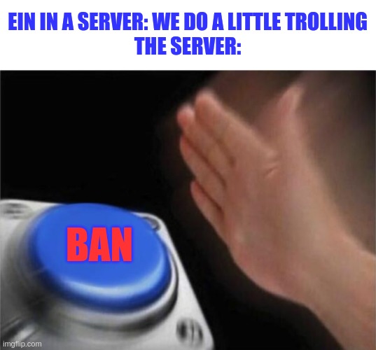 Blank Nut Button | EIN IN A SERVER: WE DO A LITTLE TROLLING
THE SERVER:; BAN | image tagged in memes,blank nut button | made w/ Imgflip meme maker