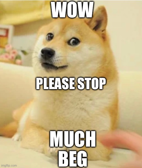 SoosyDoge | WOW; MUCH BEG; PLEASE STOP | image tagged in doge,sus,wow | made w/ Imgflip meme maker