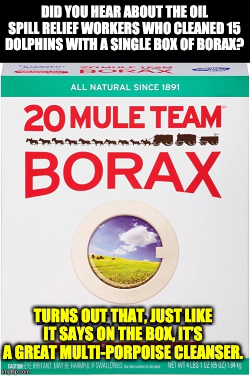 Borax | image tagged in dad joke | made w/ Imgflip meme maker