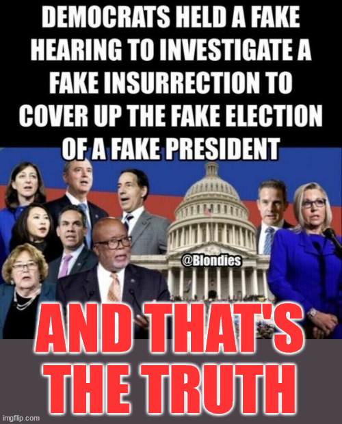 The truth about their sham insurrection... it was all staged to coverup a stolen election... | AND THAT'S THE TRUTH | image tagged in crying democrats,you can't handle the truth | made w/ Imgflip meme maker