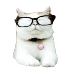 High Quality Catturd Blank Meme Template