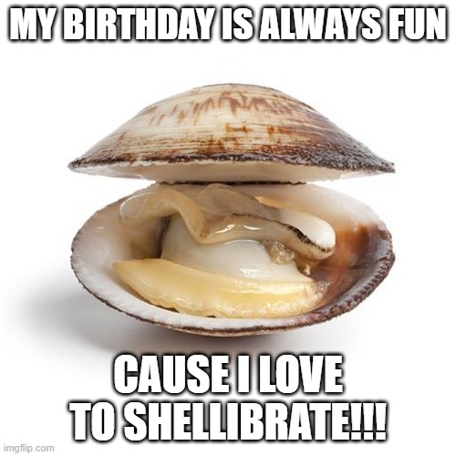 Clam birthday | MY BIRTHDAY IS ALWAYS FUN; CAUSE I LOVE TO SHELLIBRATE!!! | image tagged in clam | made w/ Imgflip meme maker