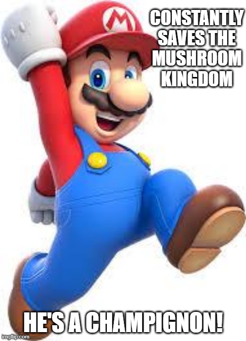 It's a Me, Mario | CONSTANTLY SAVES THE MUSHROOM KINGDOM; HE'S A CHAMPIGNON! | image tagged in mario | made w/ Imgflip meme maker