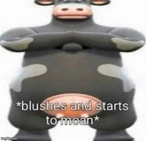 blushes and starts to moan | image tagged in blushes and starts to moan | made w/ Imgflip meme maker