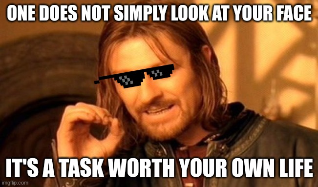 One Does Not Simply | ONE DOES NOT SIMPLY LOOK AT YOUR FACE; IT'S A TASK WORTH YOUR OWN LIFE | image tagged in memes,one does not simply | made w/ Imgflip meme maker