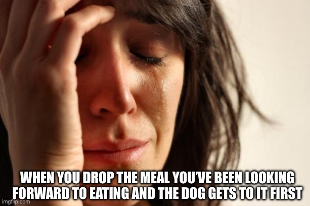 When The Dog Eats Your Meal | WHEN YOU DROP THE MEAL YOU’VE BEEN LOOKING FORWARD TO EATING AND THE DOG GETS TO IT FIRST | image tagged in first world problems,dogs,meal,food,sad | made w/ Imgflip meme maker