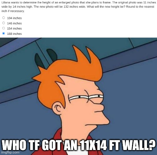 People in math problems | WHO TF GOT AN 11X14 FT WALL? | image tagged in memes,futurama fry | made w/ Imgflip meme maker