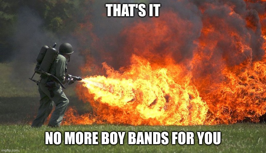 flammenwerfer | THAT'S IT; NO MORE BOY BANDS FOR YOU | image tagged in flammenwerfer | made w/ Imgflip meme maker