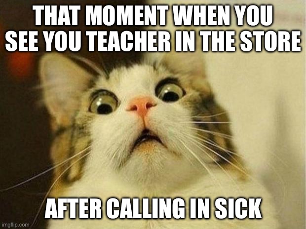 Literally | THAT MOMENT WHEN YOU SEE YOU TEACHER IN THE STORE; AFTER CALLING IN SICK | image tagged in memes,scared cat | made w/ Imgflip meme maker