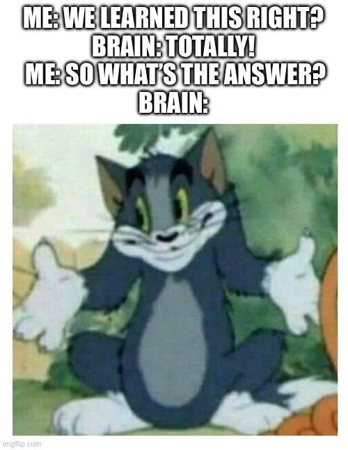 IDK Tom Template | ME: WE LEARNED THIS RIGHT?
BRAIN: TOTALLY!
 ME: SO WHAT’S THE ANSWER?
BRAIN: | image tagged in idk tom template | made w/ Imgflip meme maker