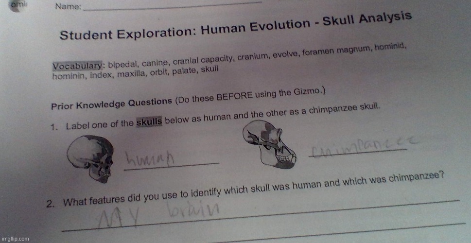 Believe it or not, I actually just took this photo in my science class. My classmate showed me and I took a photo of it. | image tagged in funny test answers,funniest kid test answers,oh wow are you actually reading these tags,stop reading the tags | made w/ Imgflip meme maker