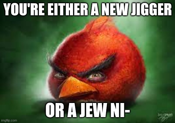 Realistic Red Angry Birds | YOU'RE EITHER A NEW JIGGER; OR A JEW NI- | image tagged in realistic red angry birds | made w/ Imgflip meme maker