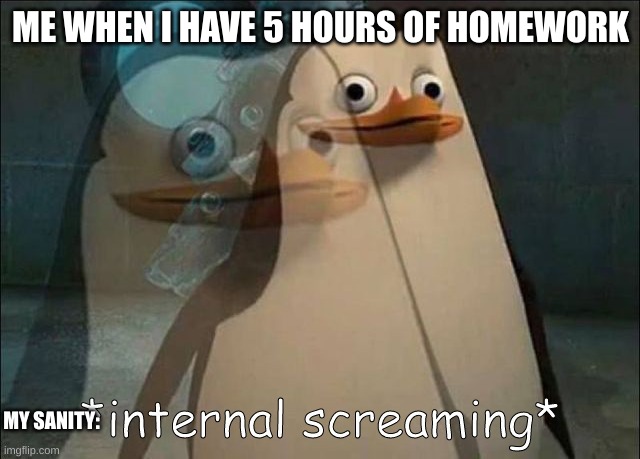 my sanity | ME WHEN I HAVE 5 HOURS OF HOMEWORK; MY SANITY: | image tagged in private internal screaming | made w/ Imgflip meme maker