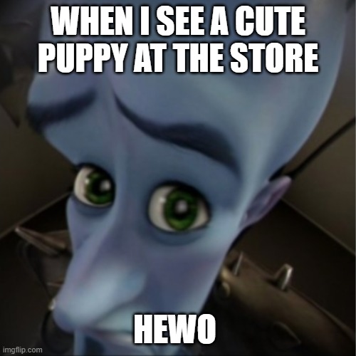 Hewo | WHEN I SEE A CUTE PUPPY AT THE STORE; HEWO | image tagged in megamind peeking | made w/ Imgflip meme maker