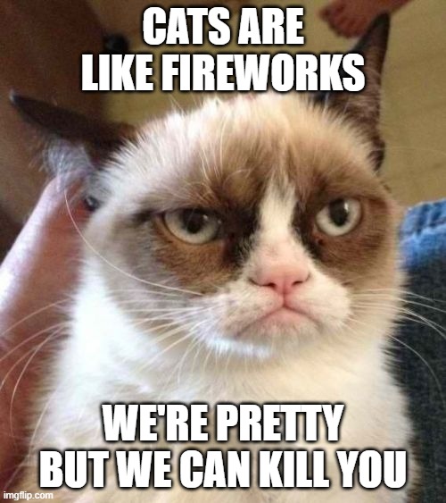 Firework Cat | CATS ARE LIKE FIREWORKS; WE'RE PRETTY BUT WE CAN KILL YOU | image tagged in memes,grumpy cat | made w/ Imgflip meme maker