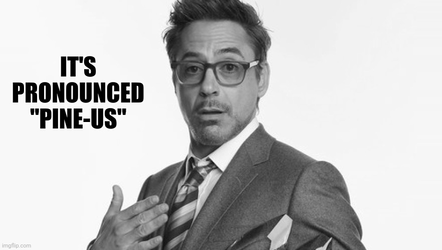 I'm Stuff | IT'S PRONOUNCED "PINE-US" | image tagged in i'm stuff | made w/ Imgflip meme maker