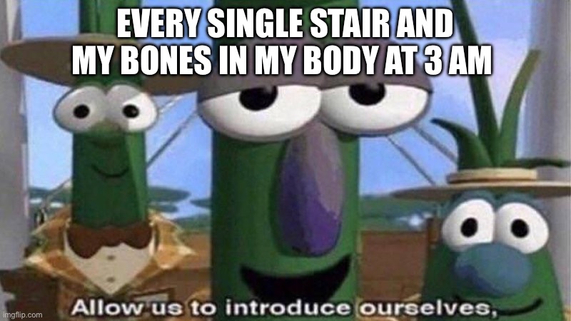 True | EVERY SINGLE STAIR AND MY BONES IN MY BODY AT 3 AM | image tagged in veggietales 'allow us to introduce ourselfs' | made w/ Imgflip meme maker