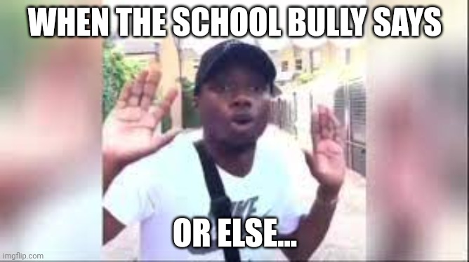 Shiver me Timbers | WHEN THE SCHOOL BULLY SAYS; OR ELSE... | image tagged in shiver me timbers | made w/ Imgflip meme maker