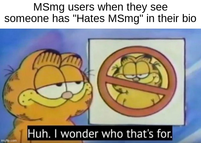 Huh, I wonder who thats for | MSmg users when they see someone has "Hates MSmg" in their bio | image tagged in huh i wonder who thats for | made w/ Imgflip meme maker