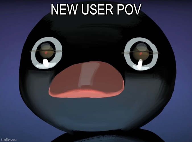 Pingu stare | NEW USER POV | image tagged in pingu stare | made w/ Imgflip meme maker