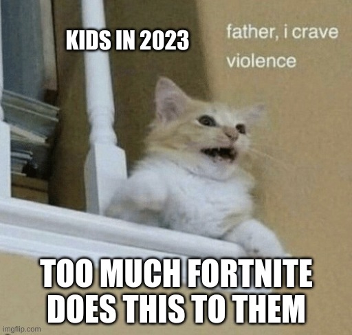 kids in 2023 | KIDS IN 2023; TOO MUCH FORTNITE DOES THIS TO THEM | image tagged in father i crave violence cat | made w/ Imgflip meme maker
