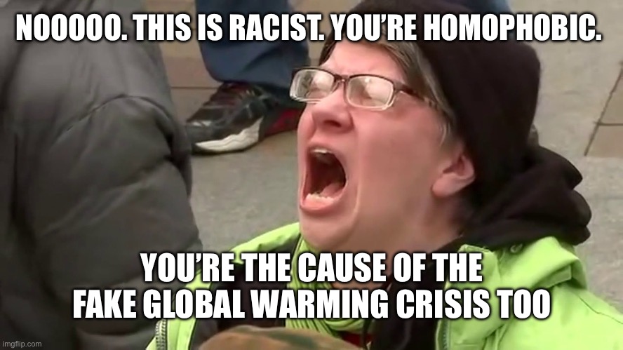 Screaming Libtard  | NOOOOO. THIS IS RACIST. YOU’RE HOMOPHOBIC. YOU’RE THE CAUSE OF THE FAKE GLOBAL WARMING CRISIS TOO | image tagged in screaming libtard | made w/ Imgflip meme maker