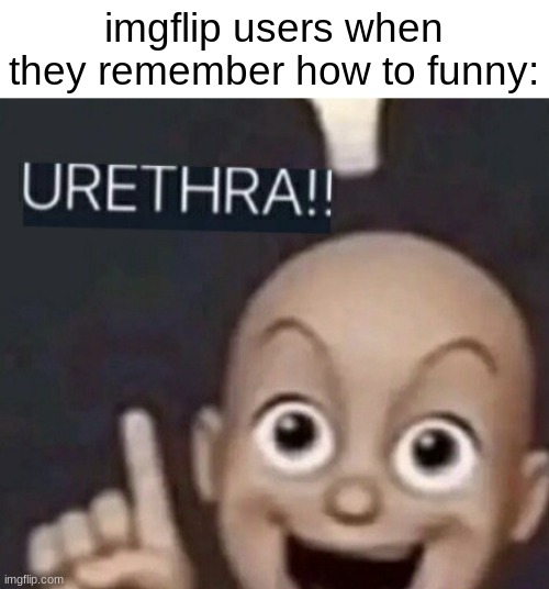 Comedy 101 | imgflip users when they remember how to funny: | image tagged in fun,funny | made w/ Imgflip meme maker