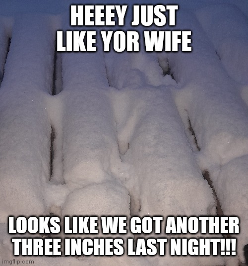 HEEEY JUST LIKE Y0R WIFE; LOOKS LIKE WE GOT ANOTHER THREE INCHES LAST NIGHT!!! | image tagged in snow | made w/ Imgflip meme maker
