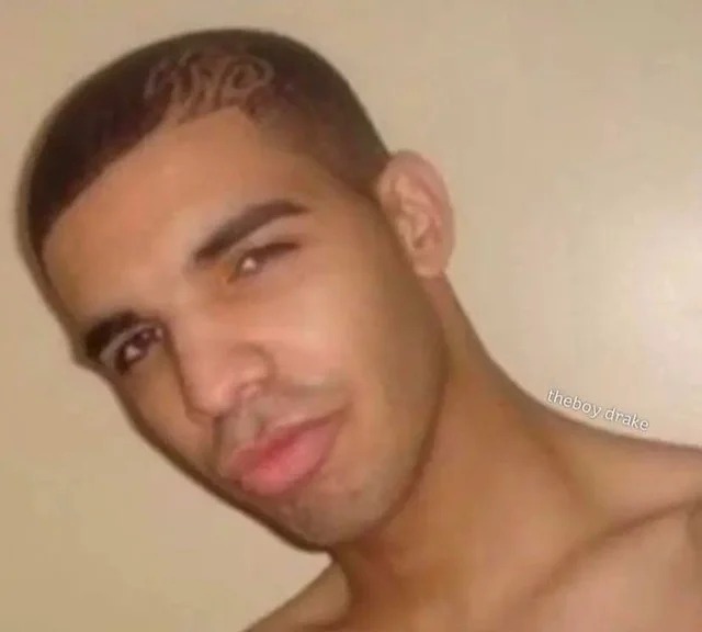 drake lightskin Blank Meme Template