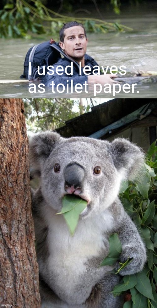 Watch what you're eating... | I used leaves as toilet paper. | image tagged in memes,funny,all | made w/ Imgflip meme maker